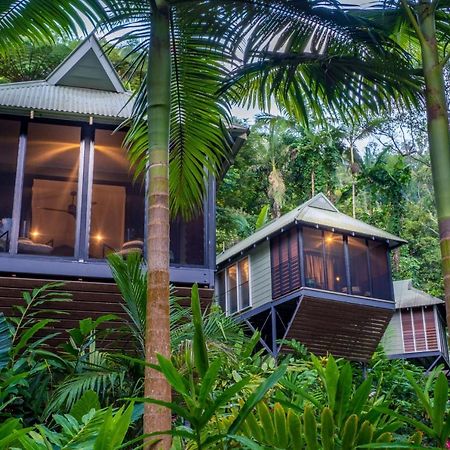 Daintree Ecolodge מראה חיצוני תמונה