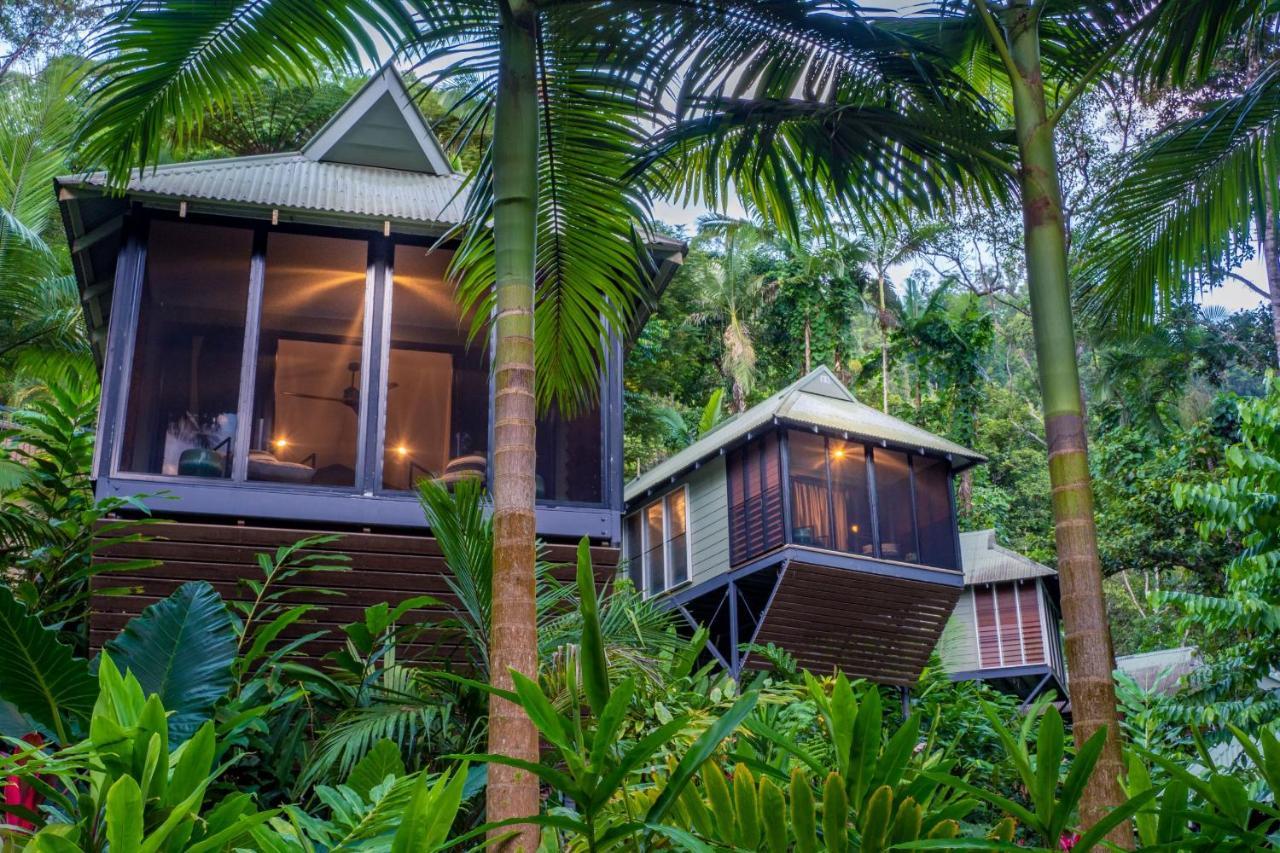 Daintree Ecolodge מראה חיצוני תמונה