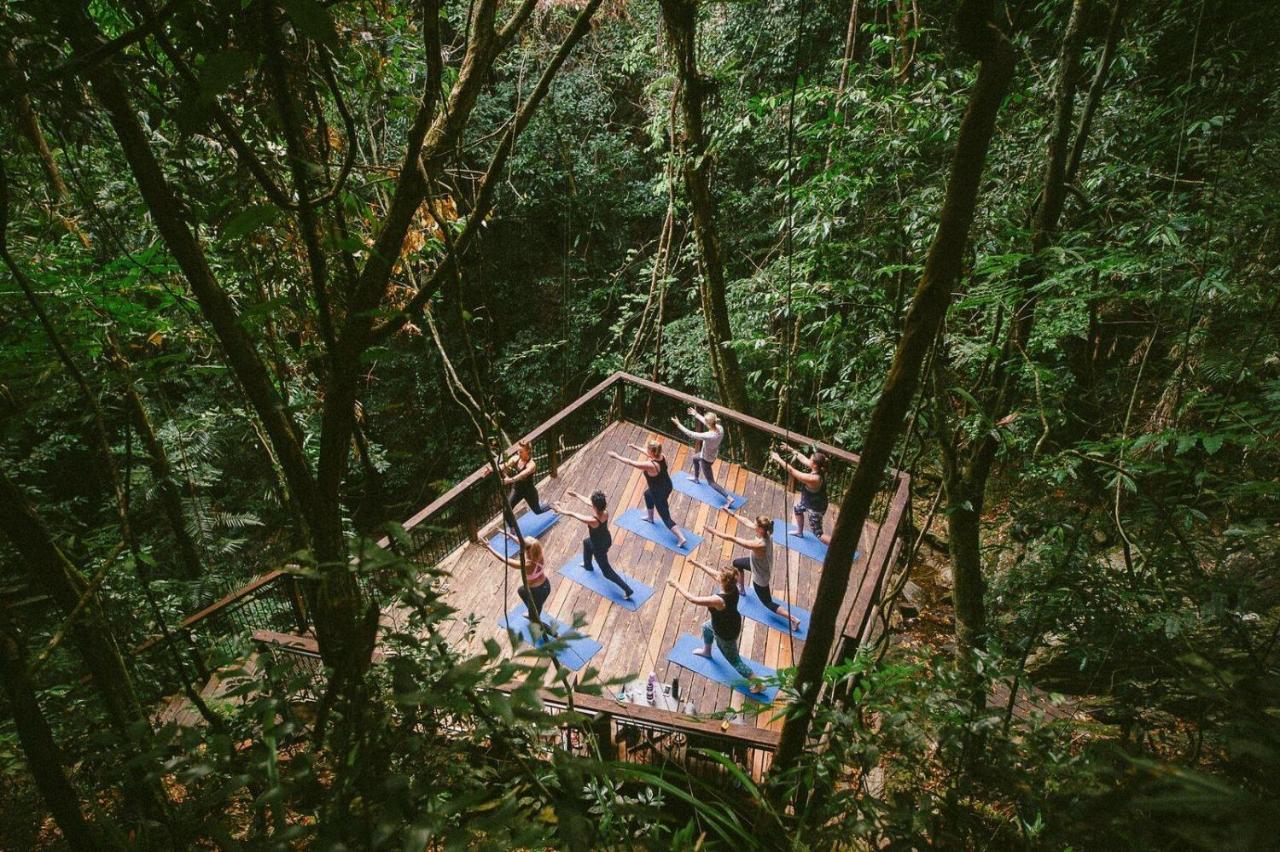Daintree Ecolodge מראה חיצוני תמונה