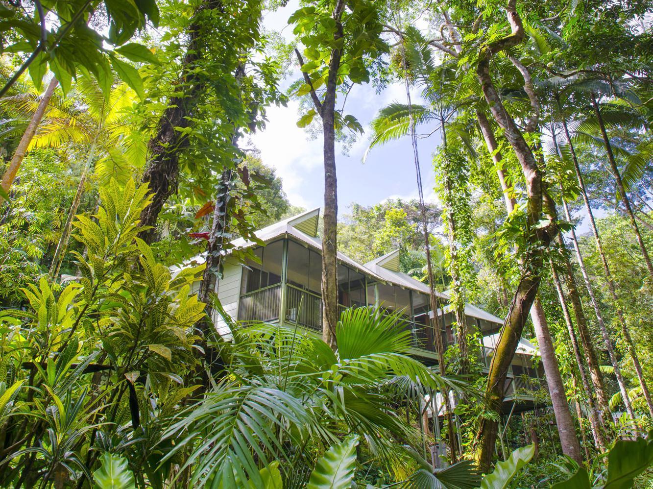 Daintree Ecolodge מראה חיצוני תמונה