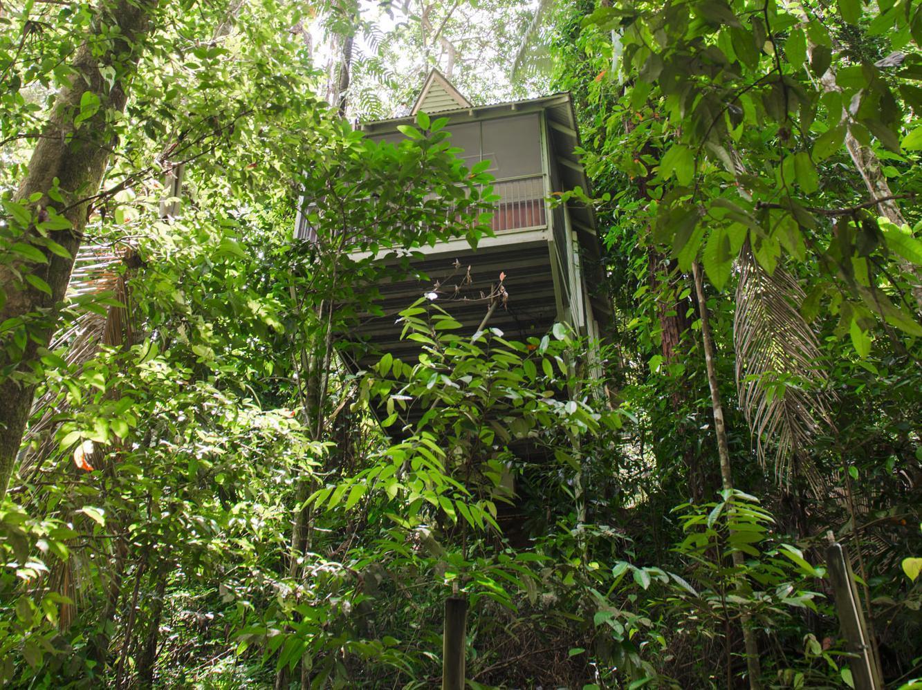 Daintree Ecolodge מראה חיצוני תמונה