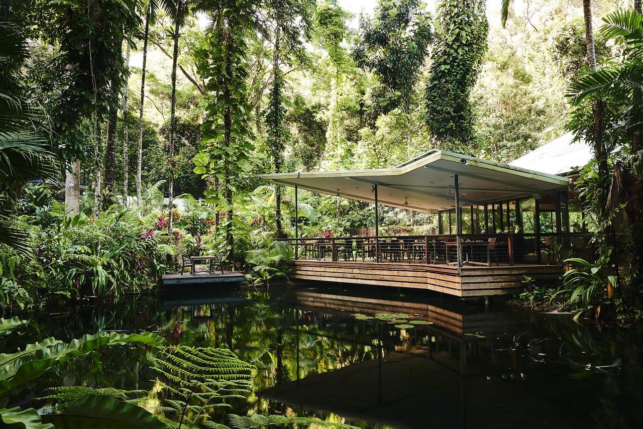 Daintree Ecolodge מראה חיצוני תמונה