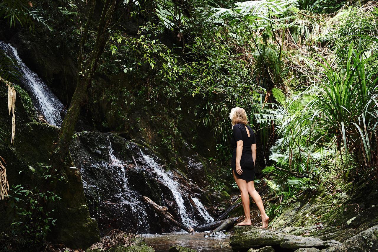 Daintree Ecolodge מראה חיצוני תמונה