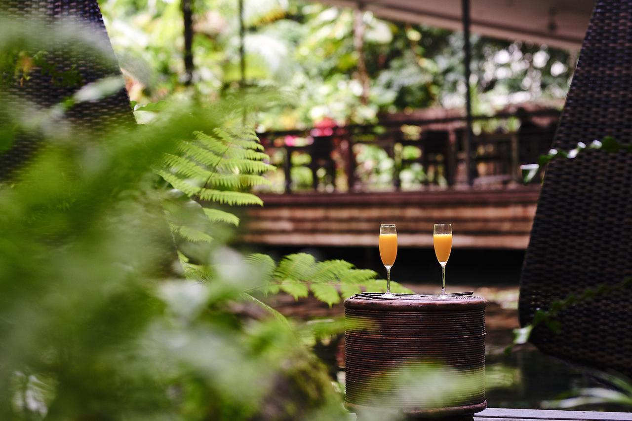 Daintree Ecolodge מראה חיצוני תמונה