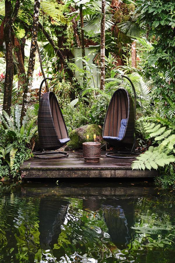 Daintree Ecolodge מראה חיצוני תמונה