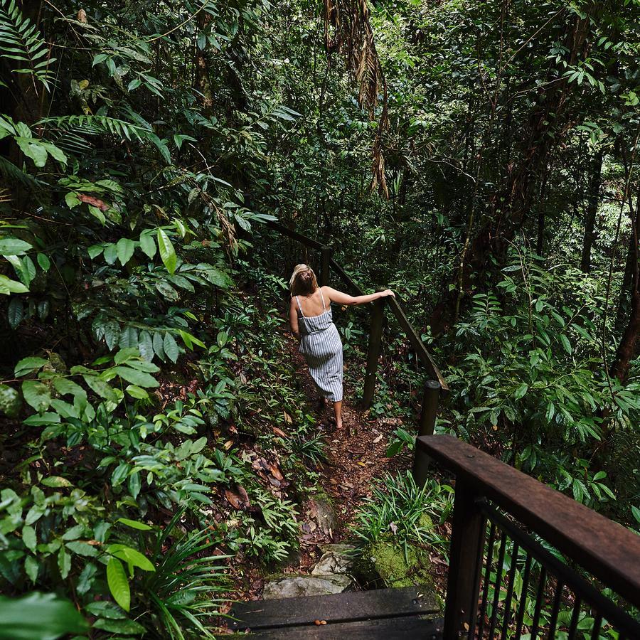 Daintree Ecolodge מראה חיצוני תמונה