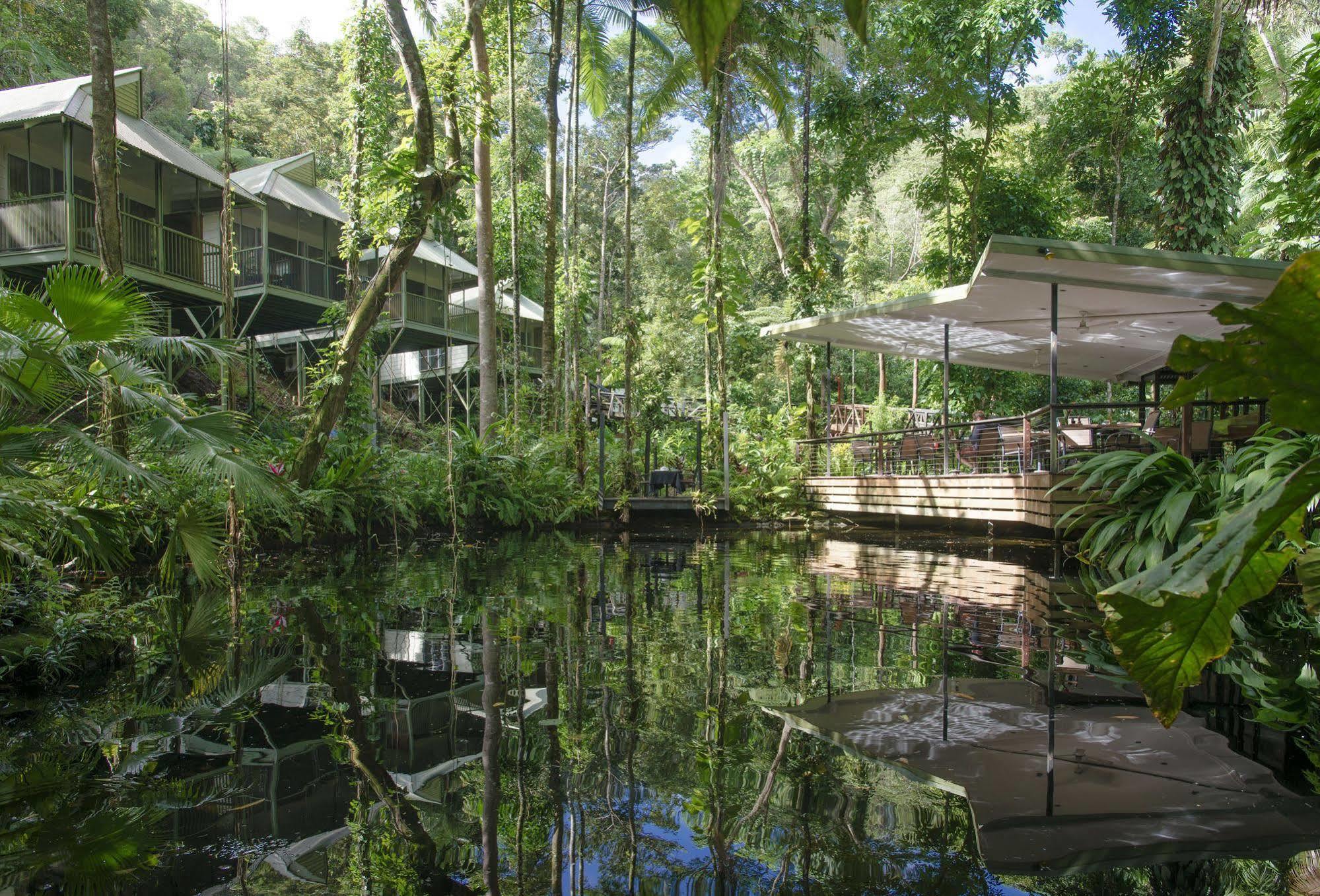Daintree Ecolodge מראה חיצוני תמונה
