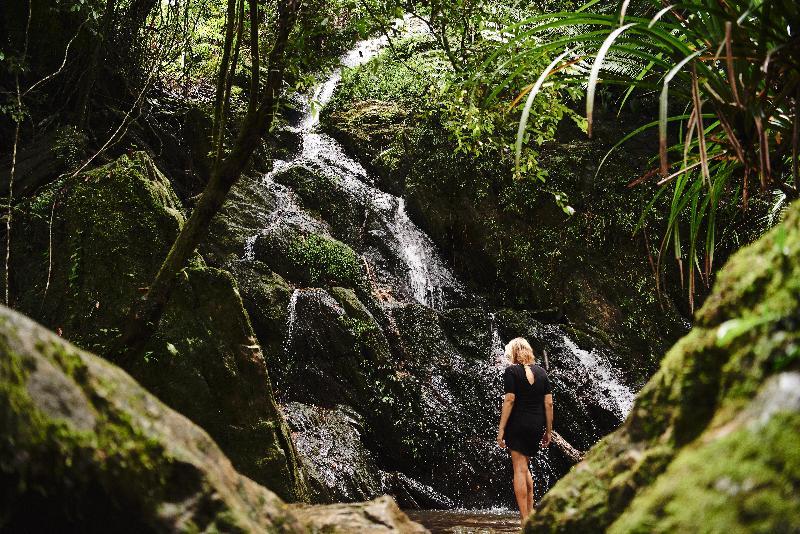 Daintree Ecolodge מראה חיצוני תמונה