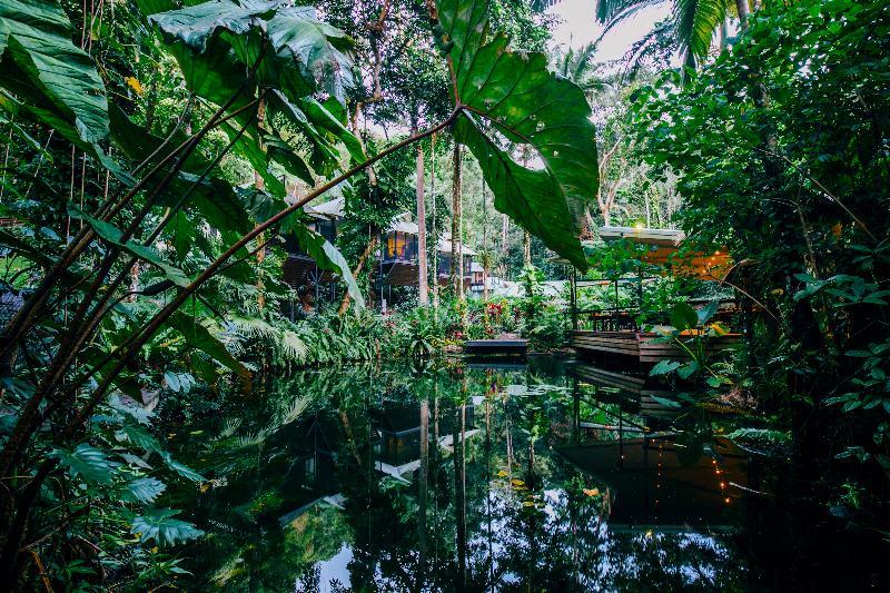 Daintree Ecolodge מראה חיצוני תמונה