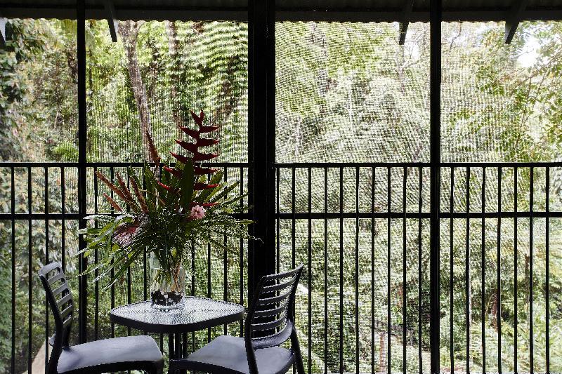 Daintree Ecolodge מראה חיצוני תמונה