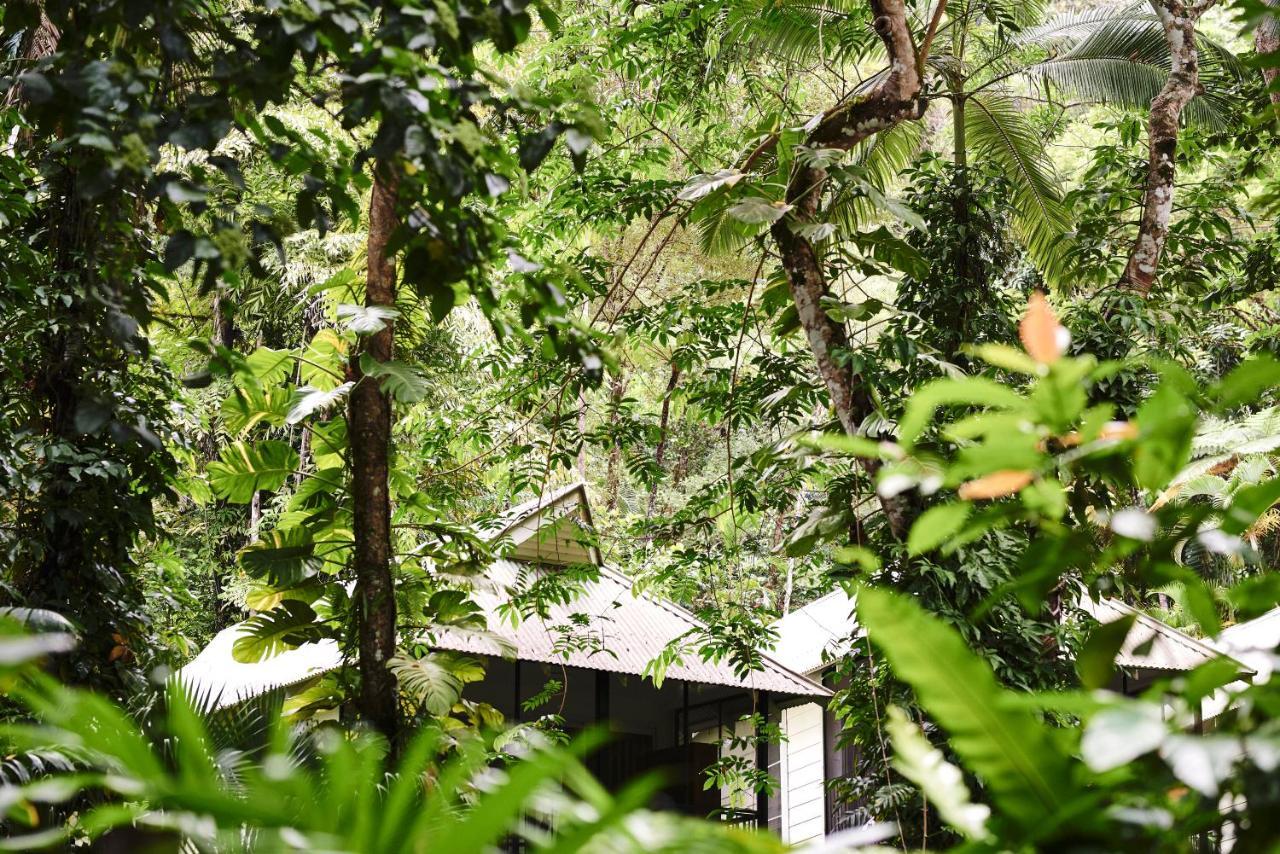 Daintree Ecolodge מראה חיצוני תמונה