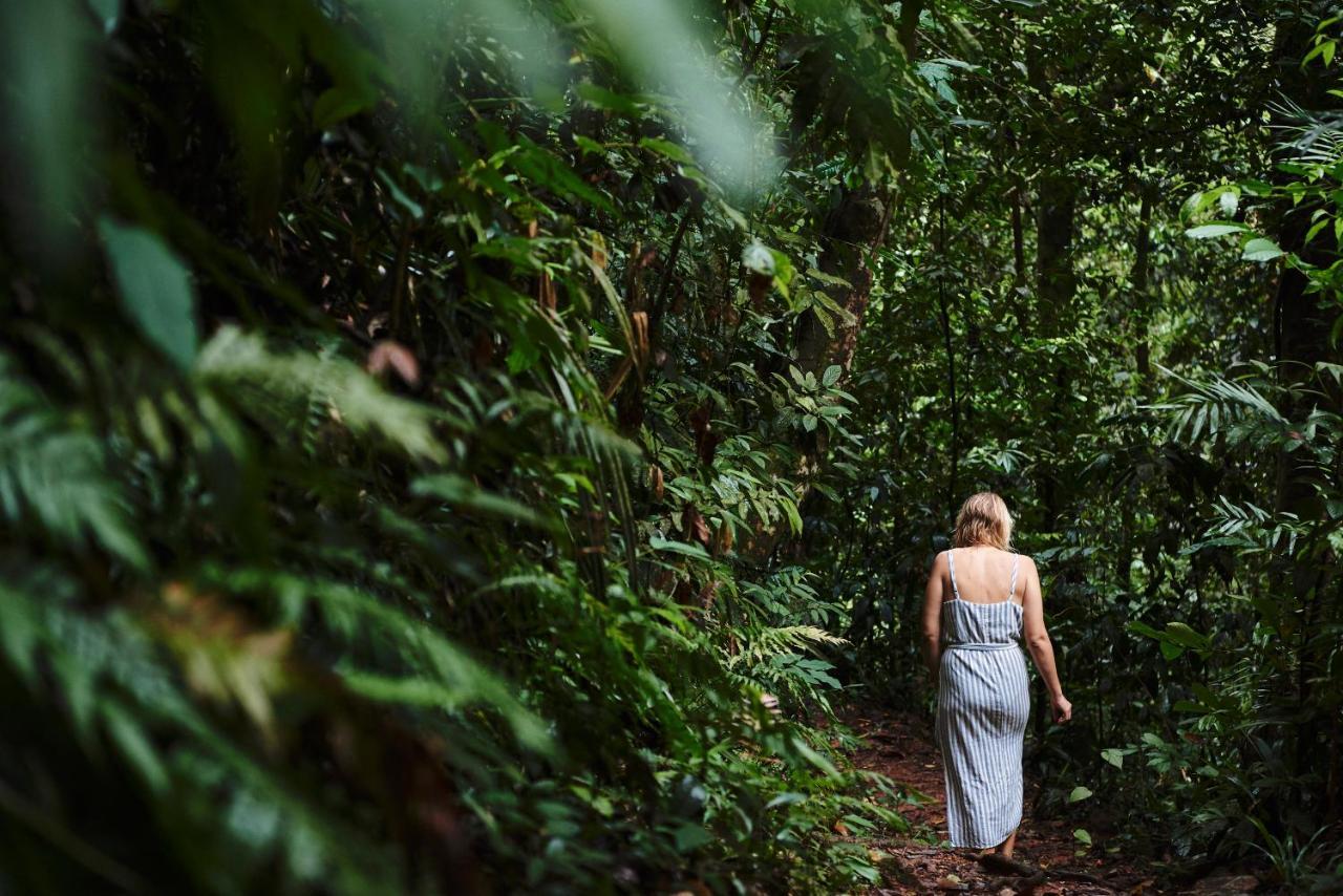 Daintree Ecolodge מראה חיצוני תמונה